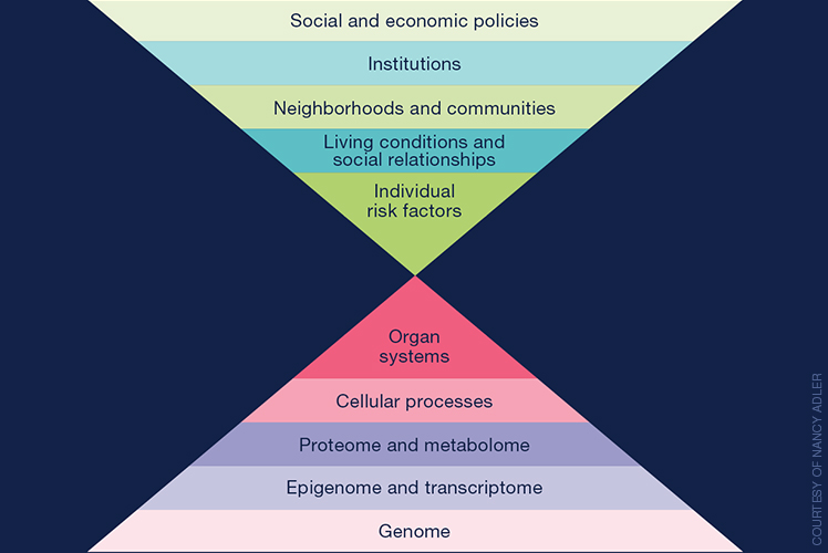 Inverted triangles presenting the intersection of precision medicine and public health.